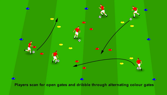 Scanning - Coloured Gate Decision