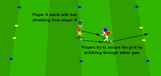 Protect to Dribble - Box Break Out