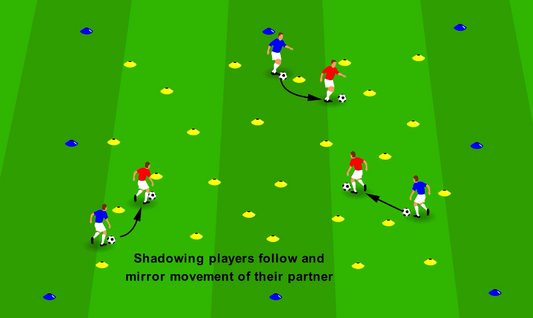 Feints and Speed Changes – Mirror Maze