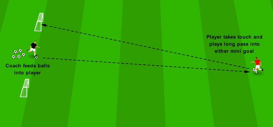 Long Passing & Switching Play